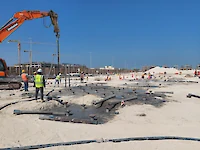 Ductile Iron Piles
