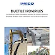 Ductile Iron Piles 08/2021